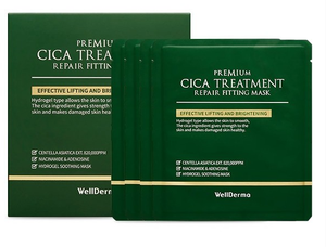 WellDerma Premium Cica Treatment Repair Fitting Mask Pack (4 Sheets)