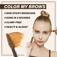 Load image into Gallery viewer, Color My Brows
