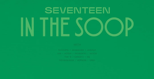 SEVENTEEN - IN THE SOOP: Photo Package